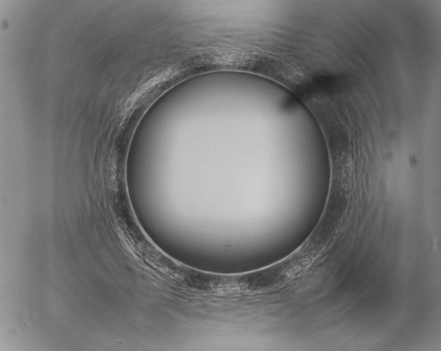 X0000057080587200509091250