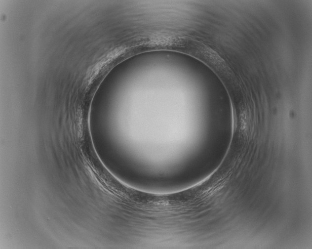 X0000057080588200509091250