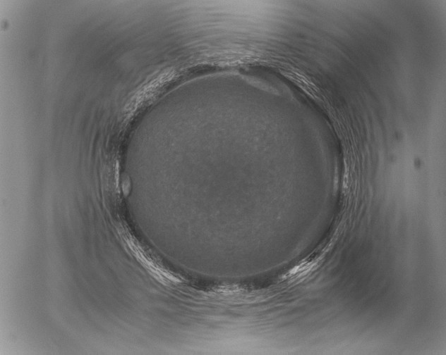 X0000057080589200509091250