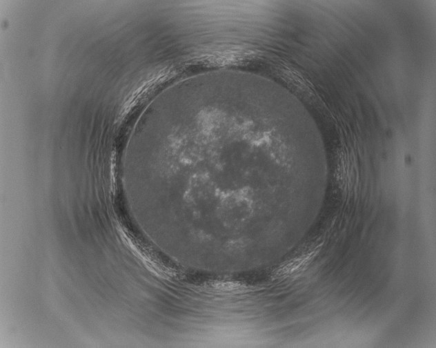 X0000057080590200509091250