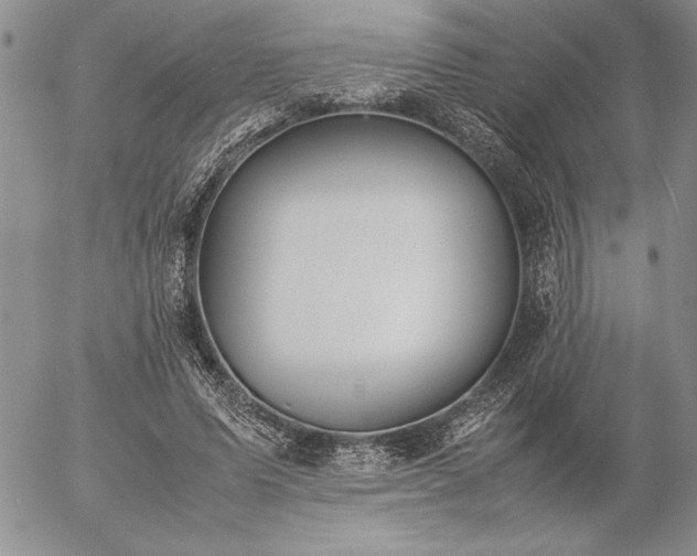 X0000057080591200509091250