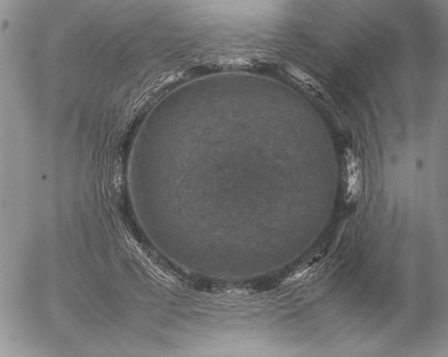 X0000057080593200509091250