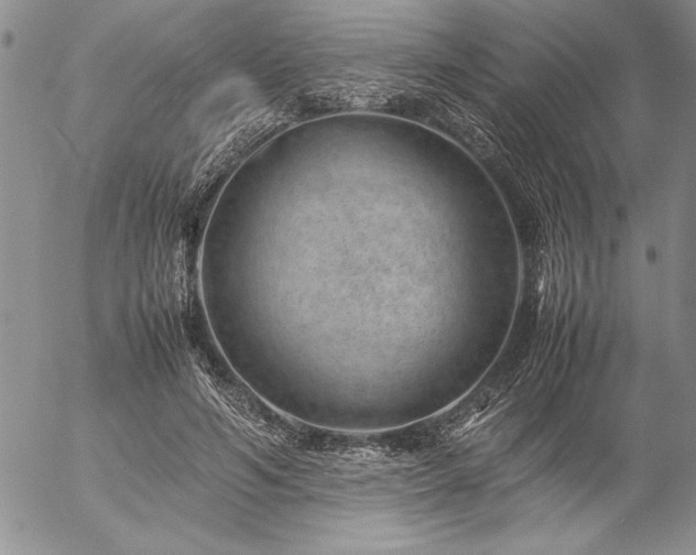 X0000057080594200509091250