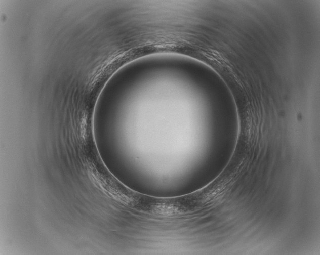 X0000057080596200509091250