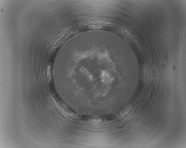 X0000057080598200509091250