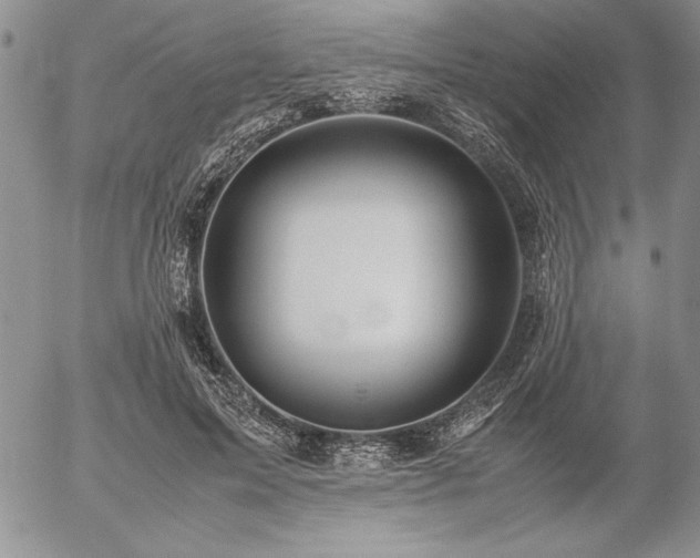 X0000057080599200509091250