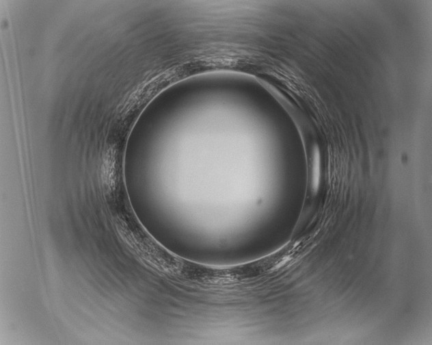 X0000057080600200509091250