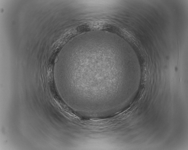 X0000057080601200509091250