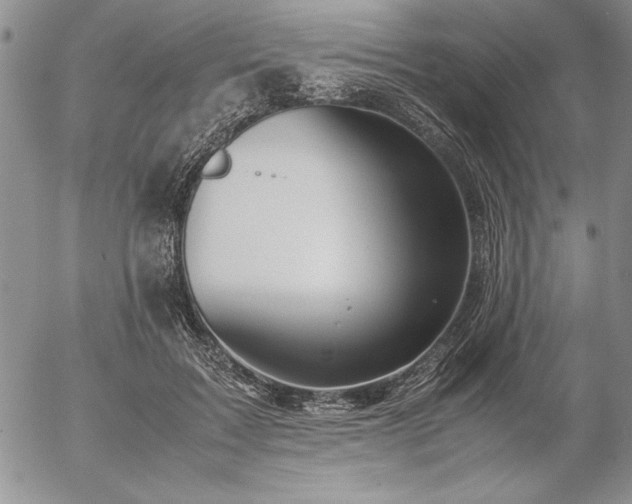 X0000057080603200509091250