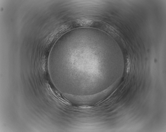 X0000057080604200509091250