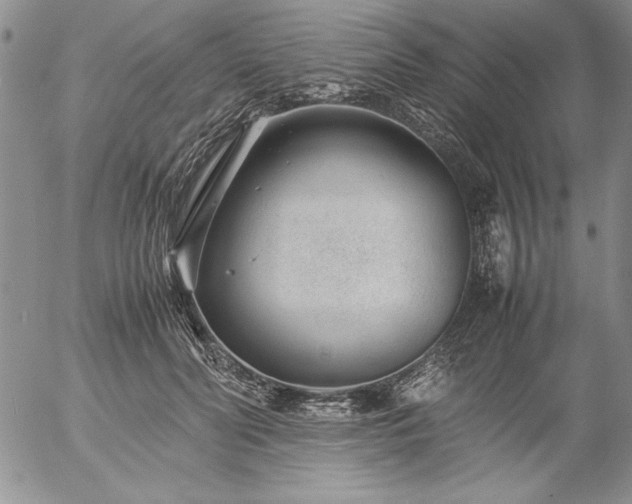 X0000057080606200509091250