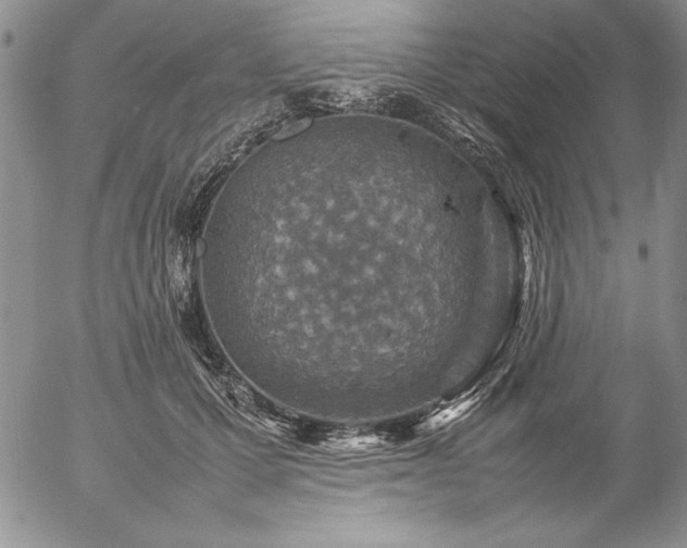 X0000057080607200509091250