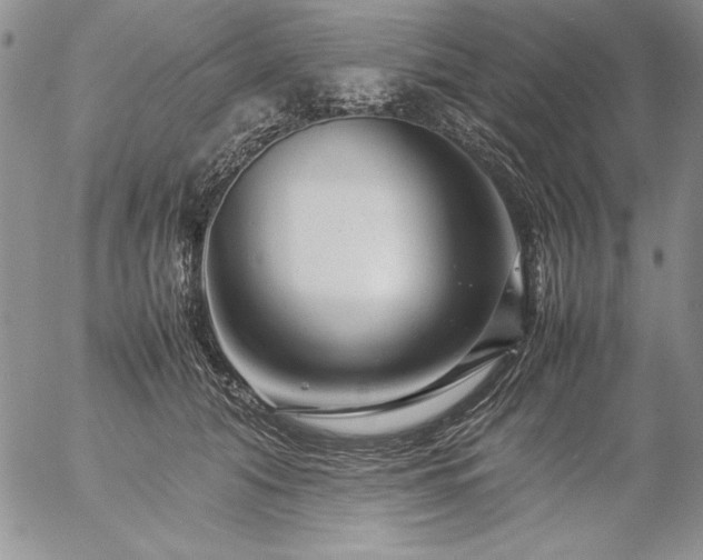 X0000057080608200509091250