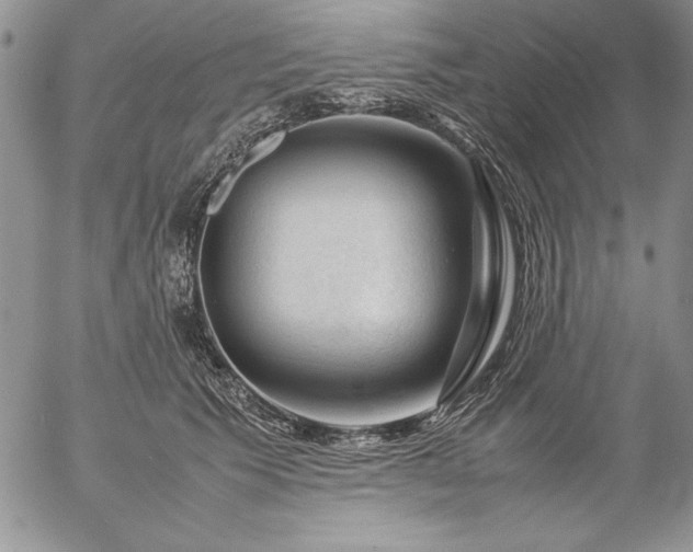 X0000057080609200509091249