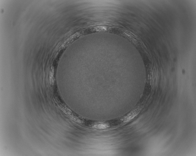 X0000057080610200509091249