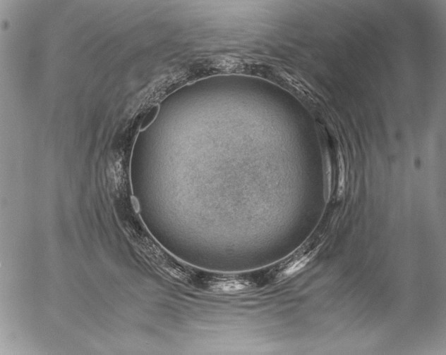 X0000057080611200509091249