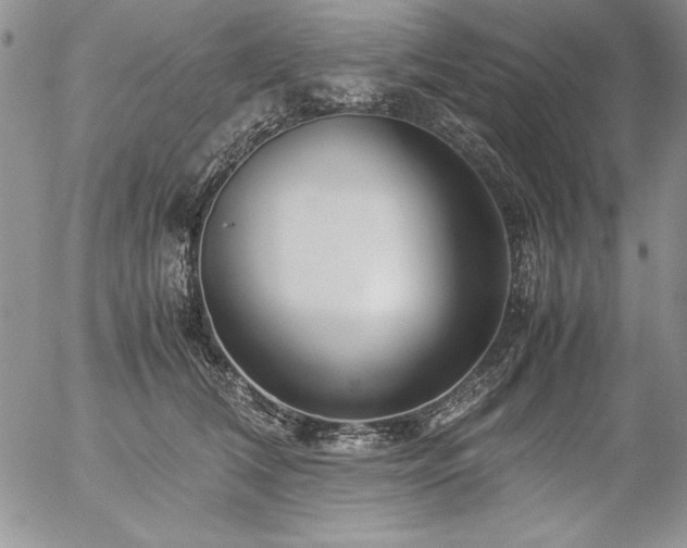 X0000057080612200509091249