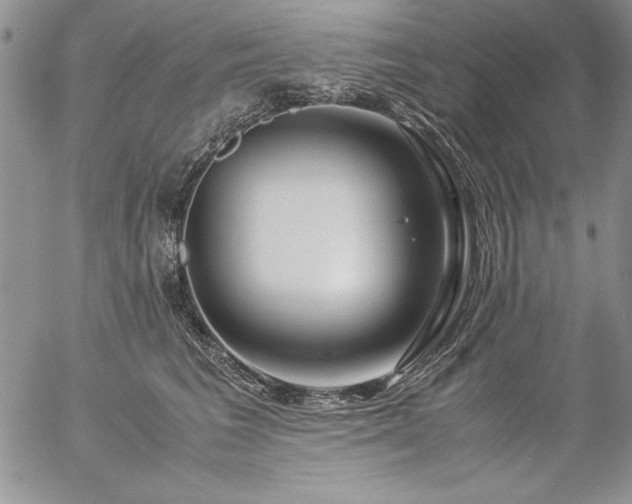 X0000057080613200509091249