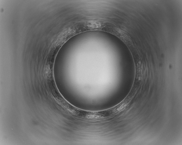 X0000057080614200509091249