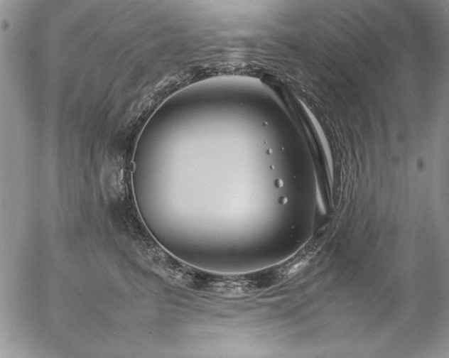 X0000057080615200509091249