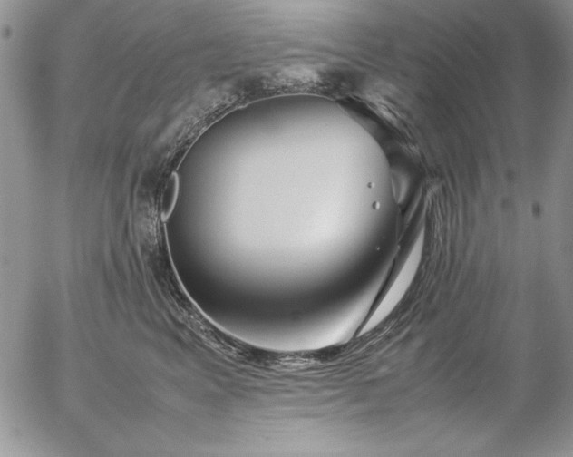 X0000057080617200509091249