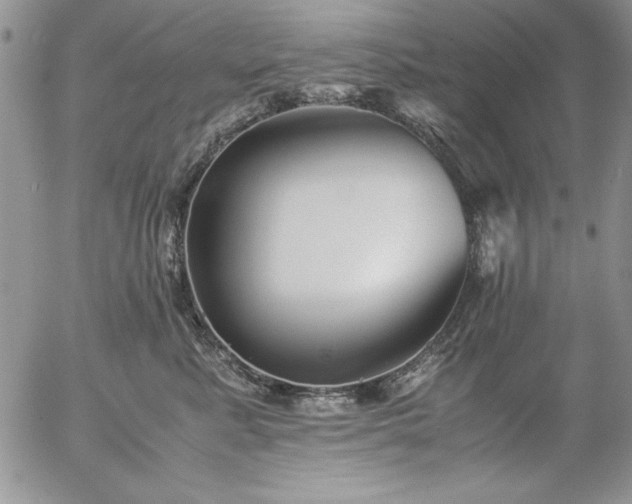 X0000057080619200509091249