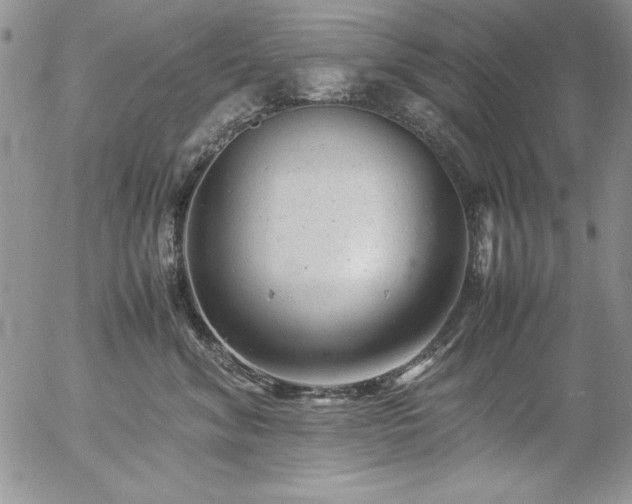 X0000057080620200509091249