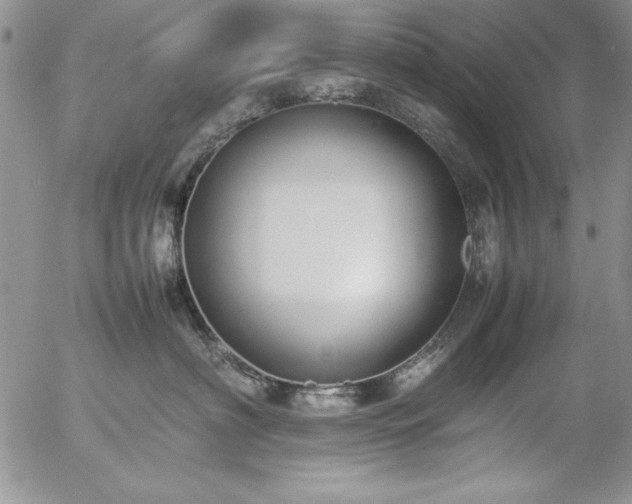 X0000057080622200509091249