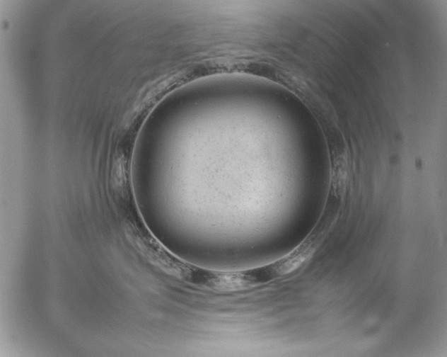 X0000057080623200509091249