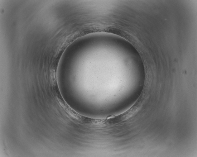 X0000057080624200509091249