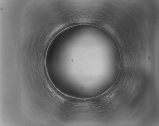 X0000057080625200509091248