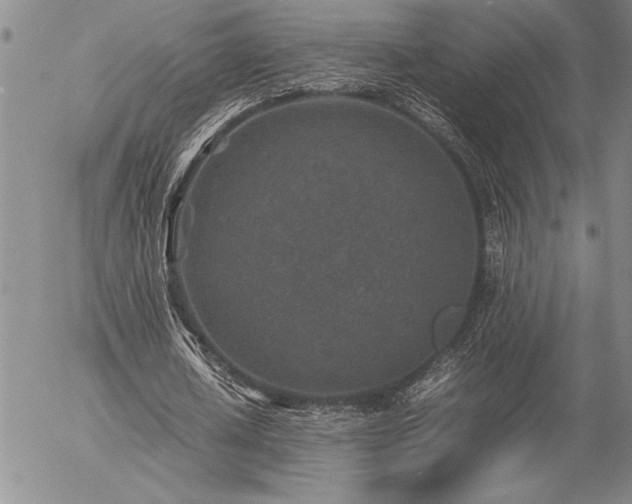 X0000057080626200509091248