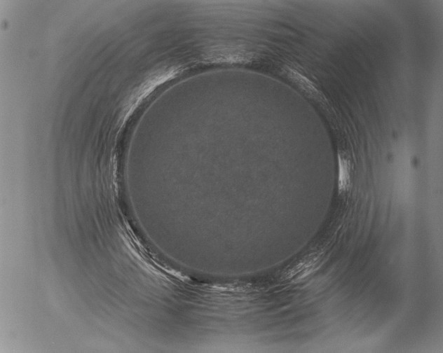 X0000057080627200509091248