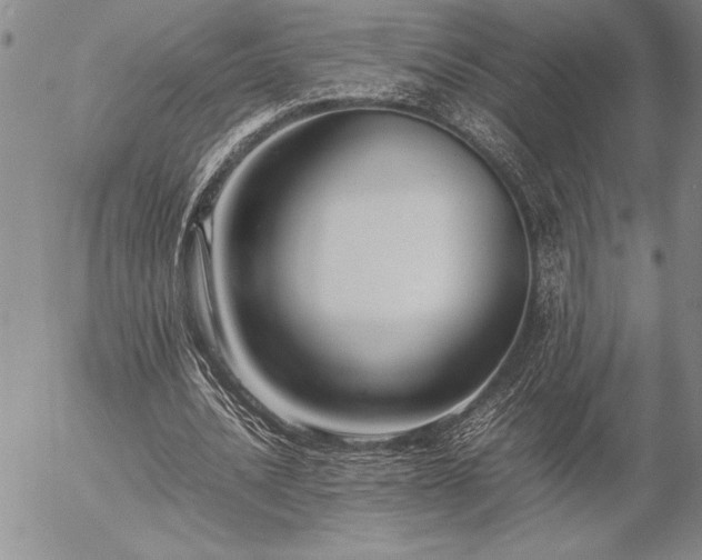 X0000057080628200509091248