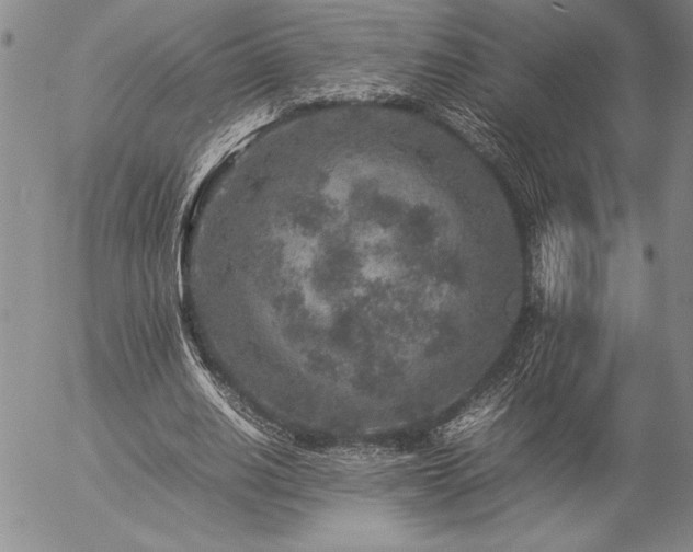 X0000057080630200509091249