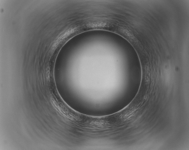 X0000057080631200509091249