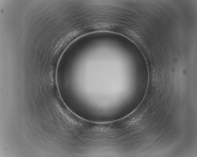 X0000057080633200509091249