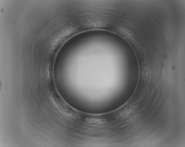 X0000057080635200509091249