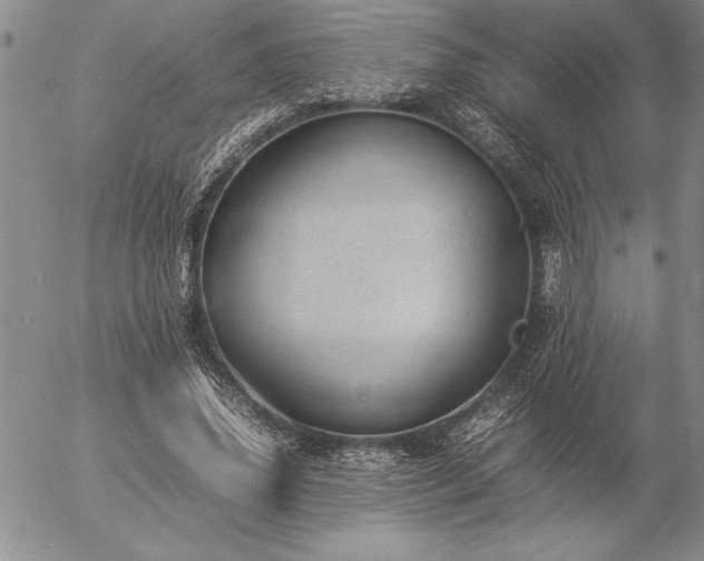 X0000057080636200509091249