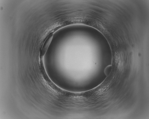 X0000057080637200509091249