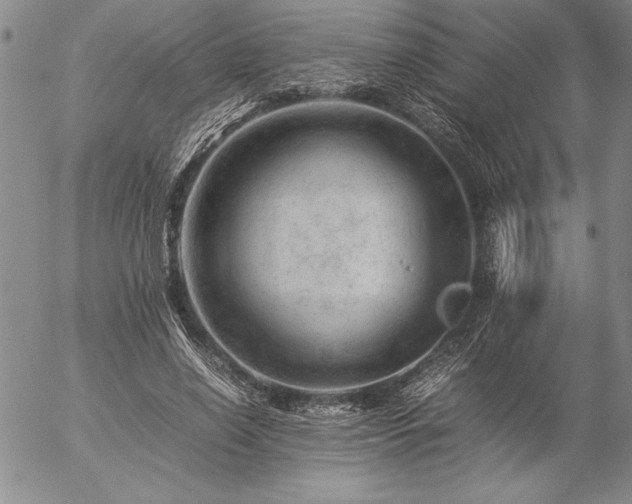 X0000057080638200509091249