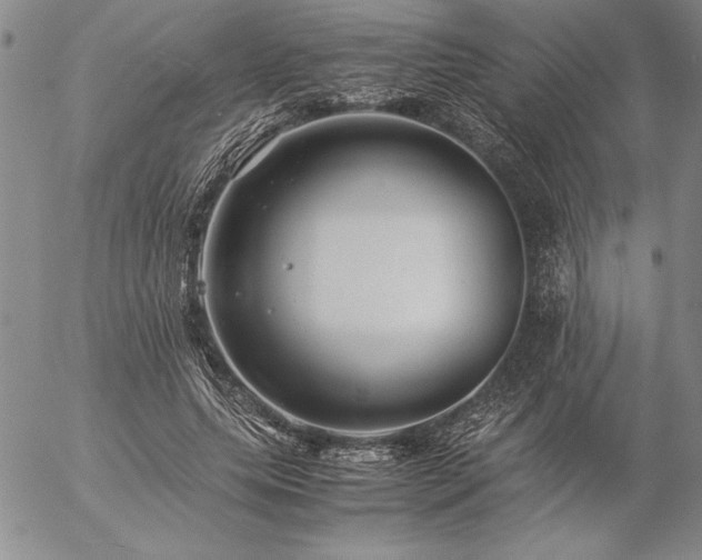 X0000057080639200509091249