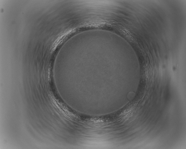 X0000057080640200509091249