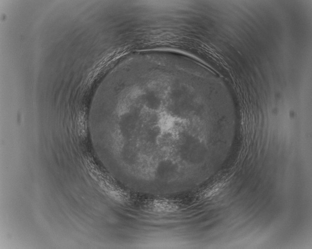 X0000057080641200509091249