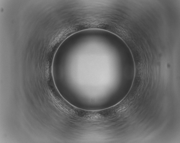 X0000057080642200509091249