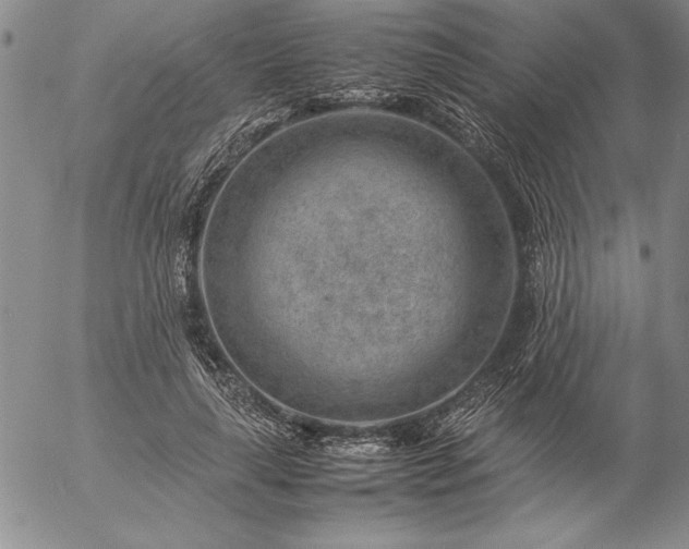 X0000057080643200509091249