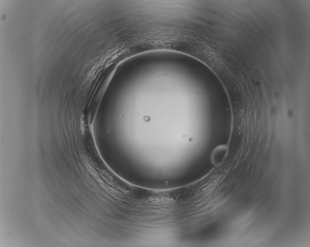 X0000057080644200509091249