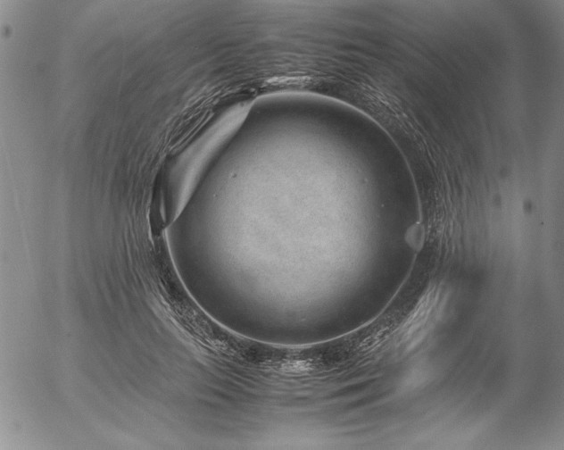 X0000057080647200509091249