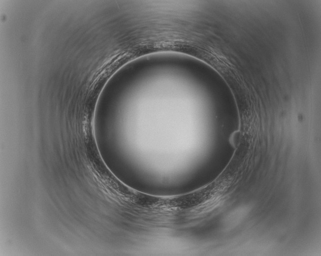 X0000057080648200509091249