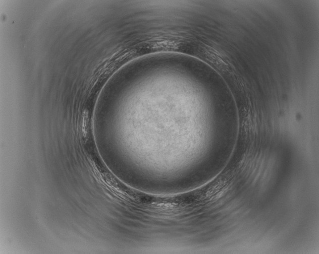 X0000057080649200509091249